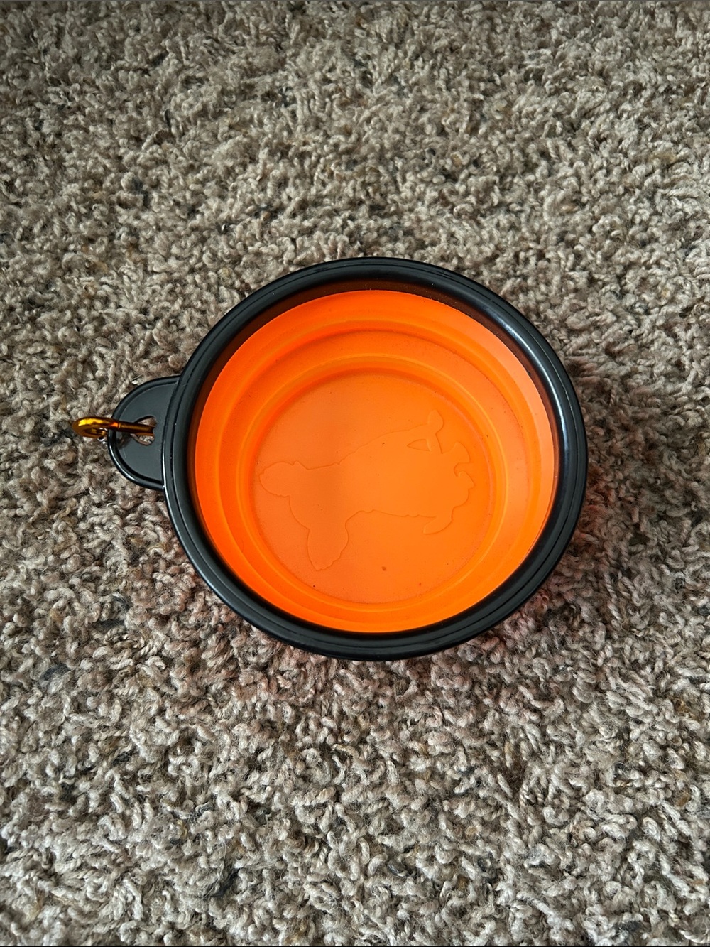 Collapsible Orange & Black Pet Travel Bowl
